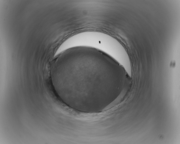 X0000091920029200709121547