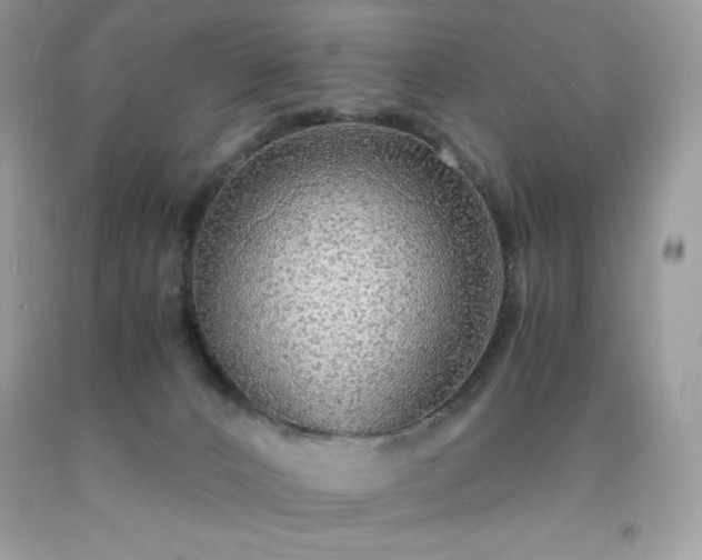 X0000091920032200709121547