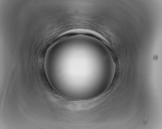 X0000091920033200709121547