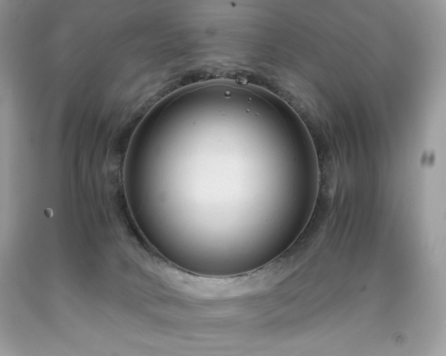 X0000091920034200709121547