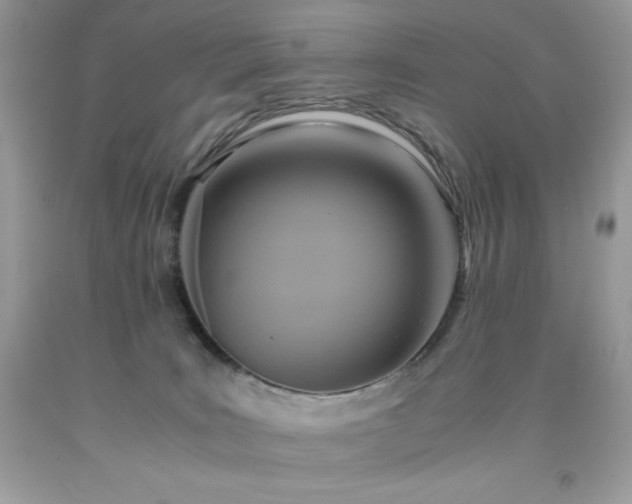 X0000091920035200709121547