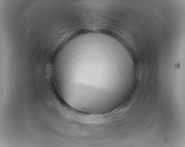 X0000091920036200709121547