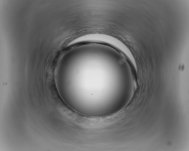 X0000091920037200709121547