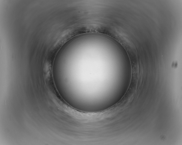 X0000091920038200709121547