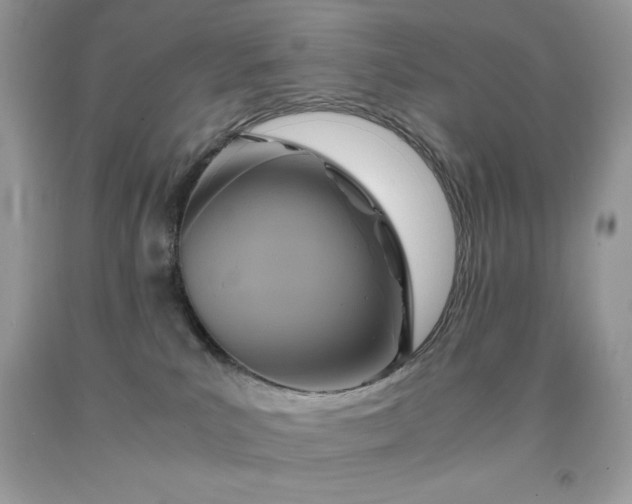 X0000091920039200709121547