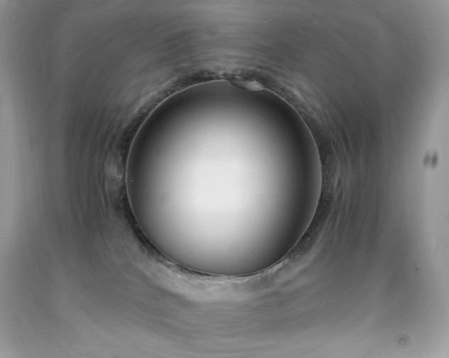 X0000091920040200709121547