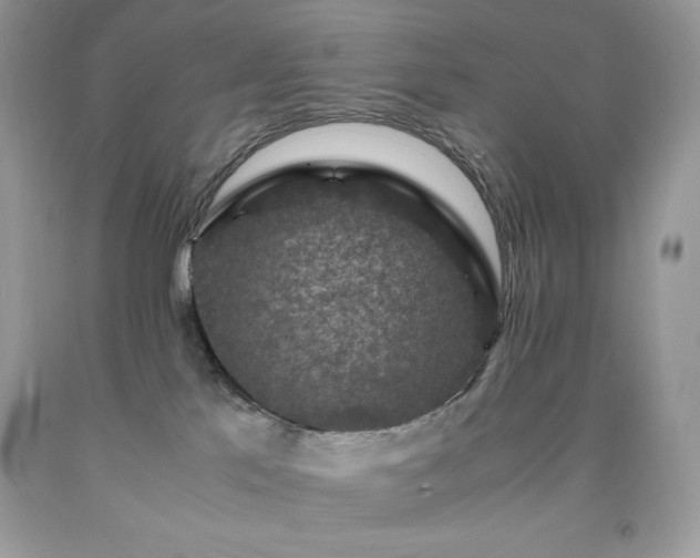X0000091920041200709121547
