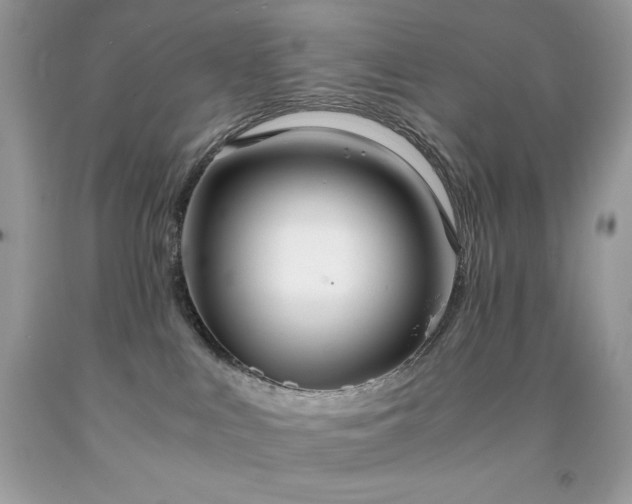 X0000091920043200709121547