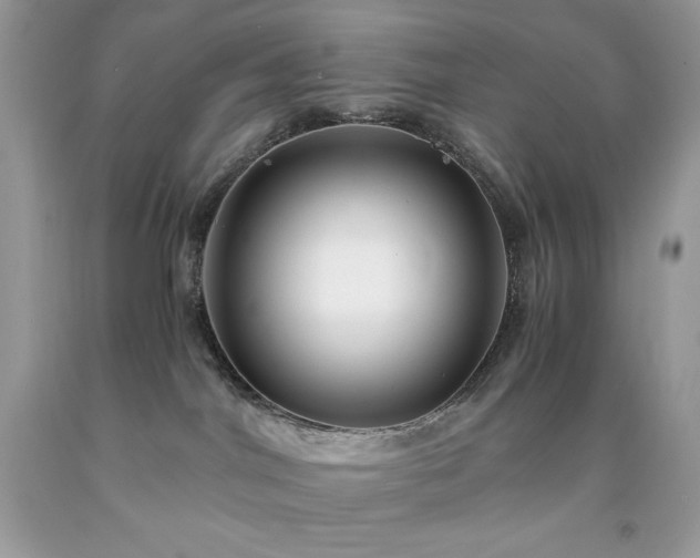 X0000091920044200709121547
