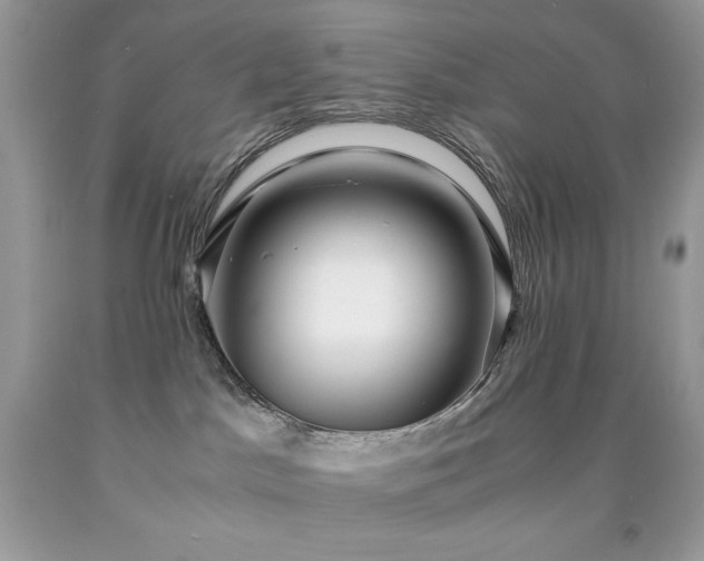 X0000091920045200709121547