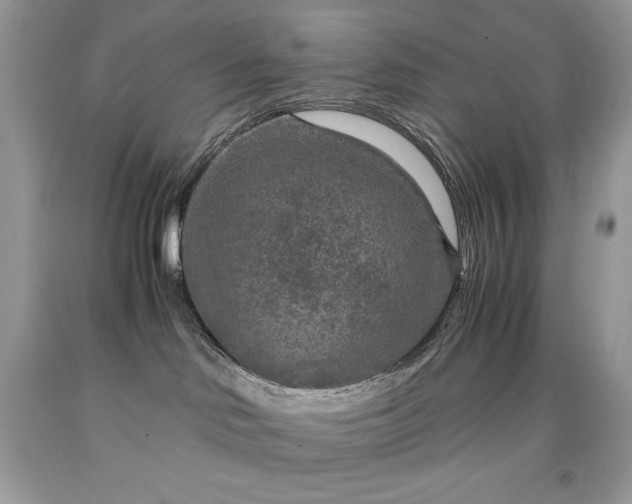 X0000091920046200709121547