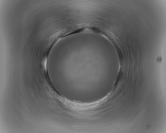 X0000091920047200709121547