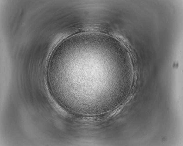 X0000091920049200709121546