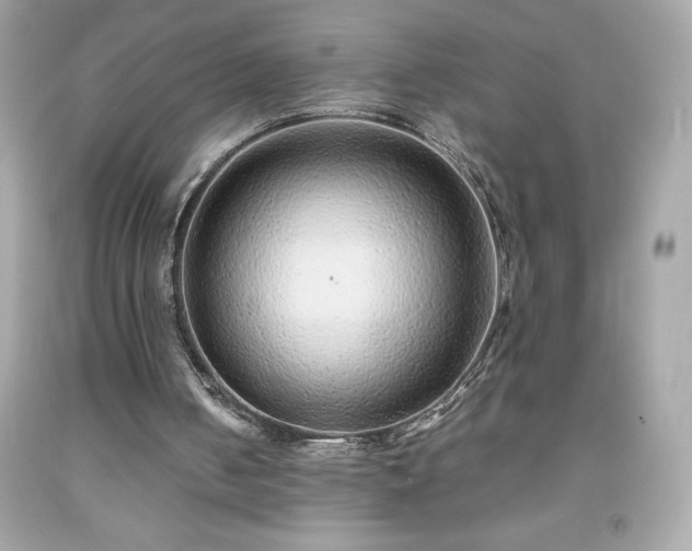 X0000091920050200709121546