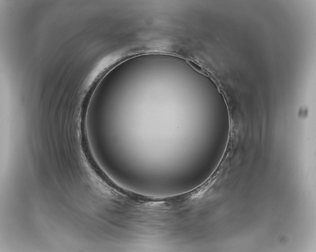 X0000091920054200709121546