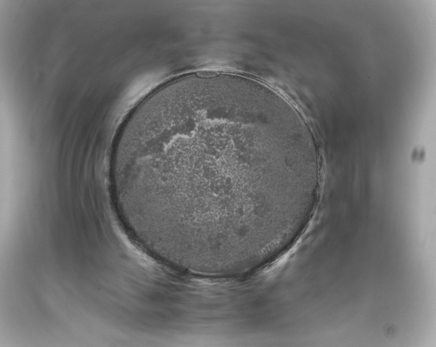 X0000091920055200709121547