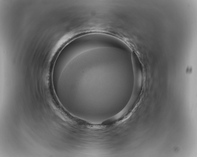 X0000091920056200709121547