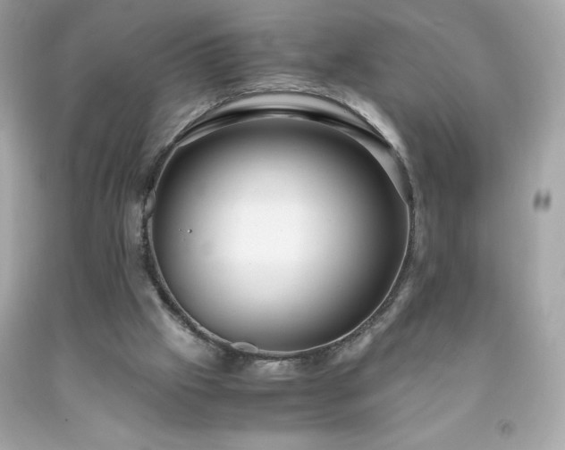 X0000091920057200709121547