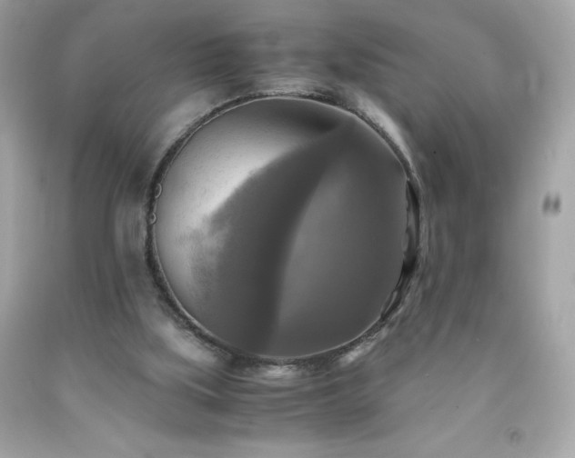 X0000091920059200709121547