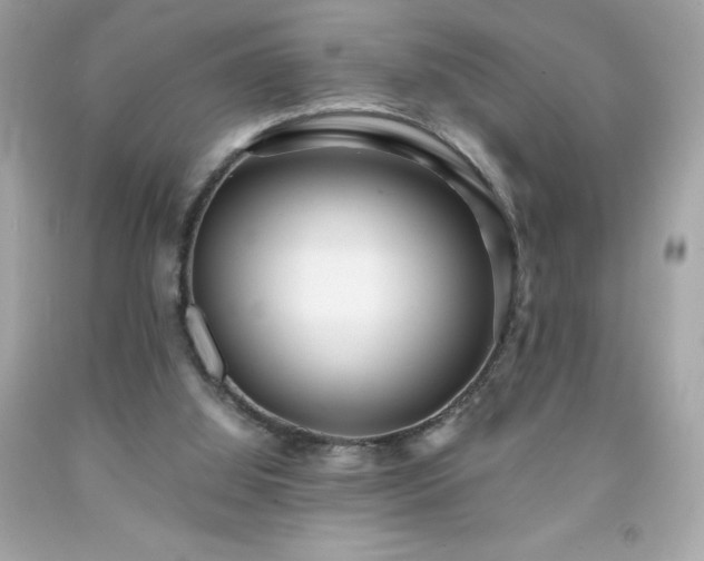 X0000091920060200709121547