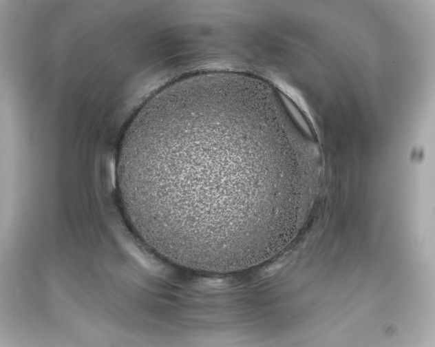 X0000091920061200709121547