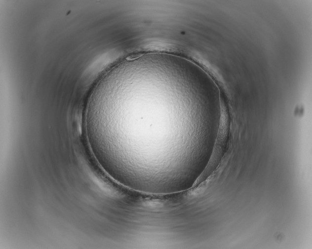 X0000091920062200709121547