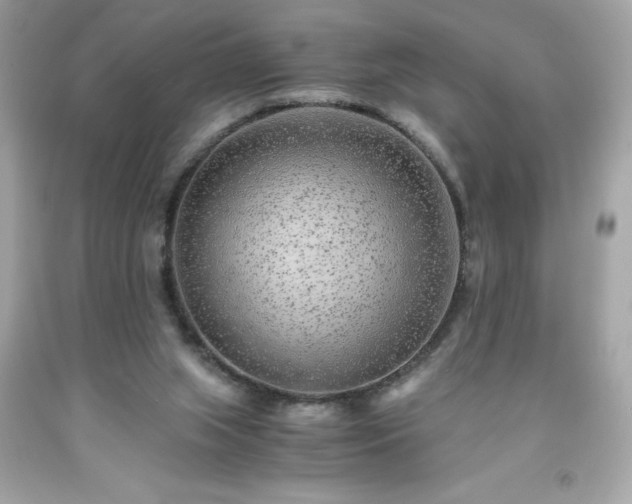 X0000091920063200709121547