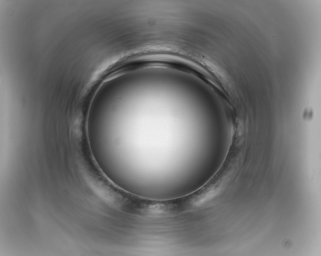 X0000091920064200709121547