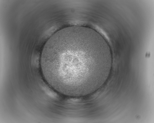 X0000091920065200709121547