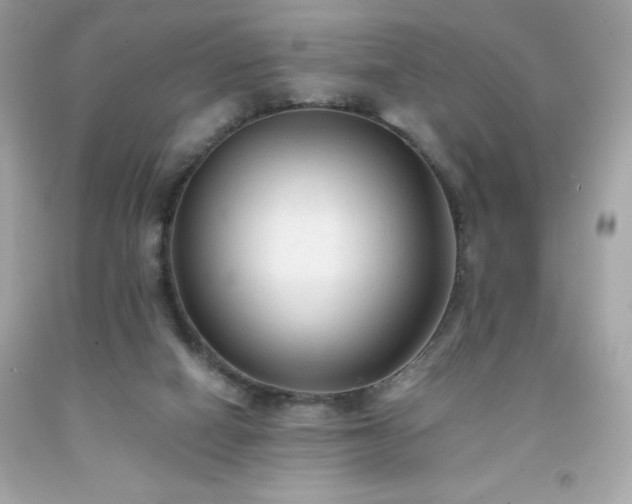 X0000091920066200709121547