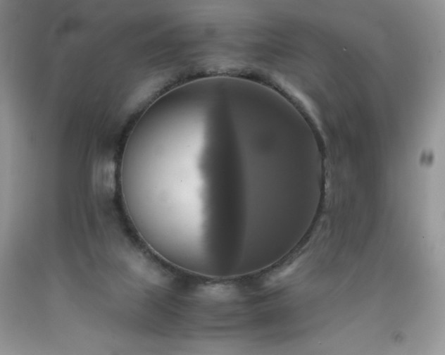 X0000091920067200709121547