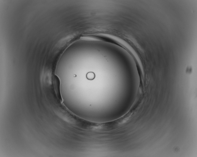 X0000091920068200709121547