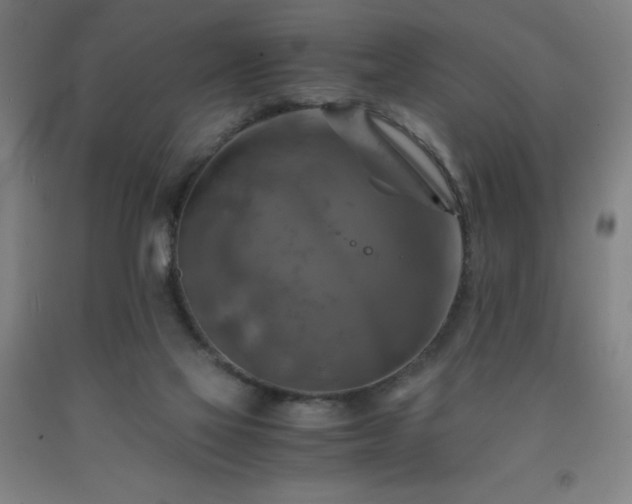 X0000091920069200709121547