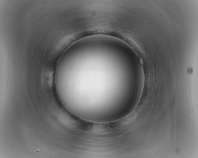 X0000091920070200709121547
