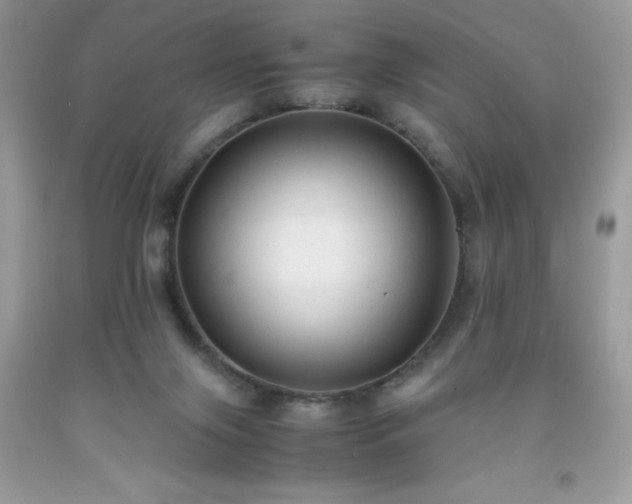 X0000091920071200709121547