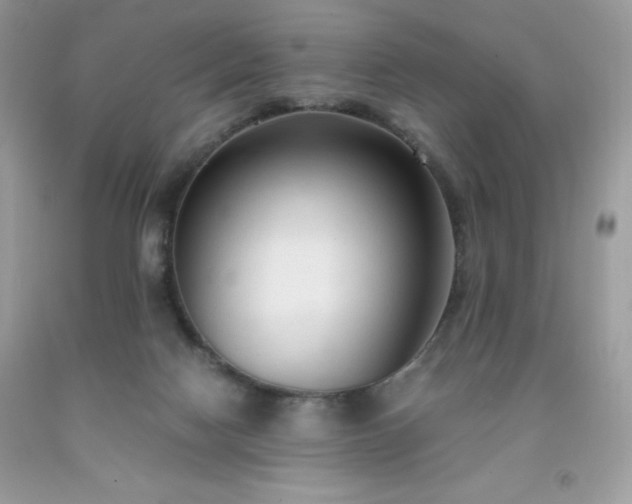X0000091920074200709121547