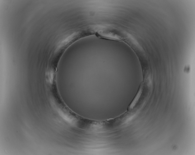 X0000091920076200709121547