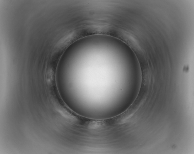 X0000091920077200709121547
