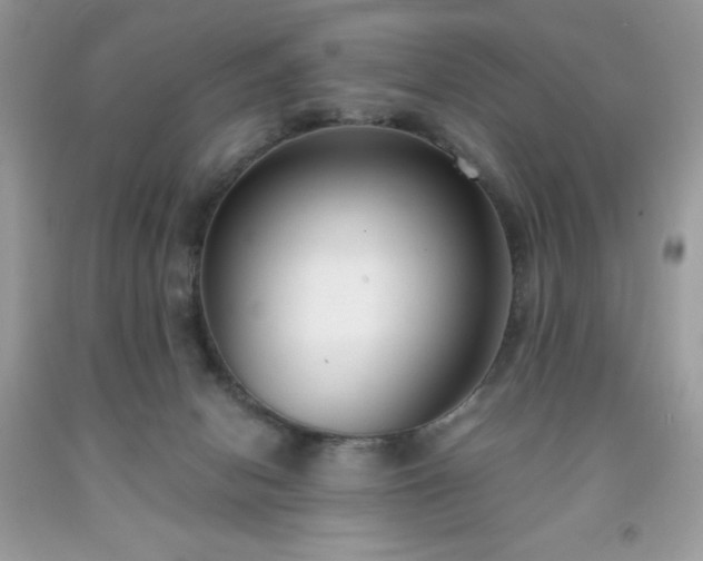 X0000091920078200709121547