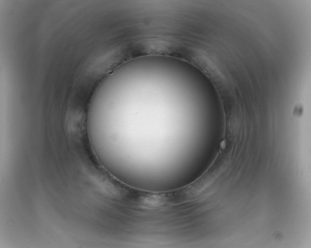 X0000091920079200709121547