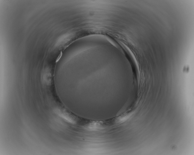 X0000091920080200709121547