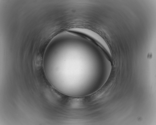 X0000091920081200709121547