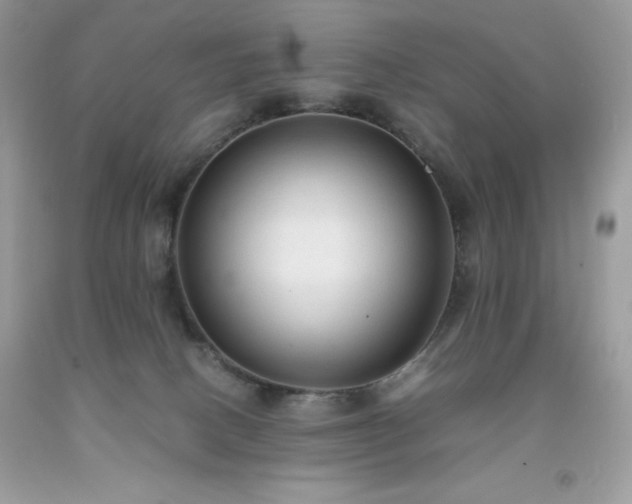 X0000091920082200709121547