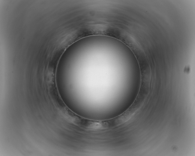 X0000091920083200709121547