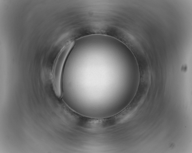 X0000091920084200709121547