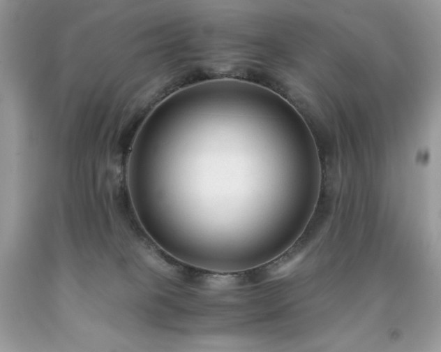 X0000091920085200709121547