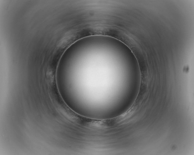 X0000091920086200709121547