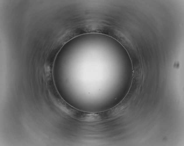 X0000091920087200709121547