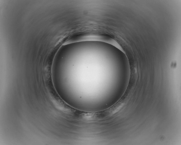 X0000091920088200709121547