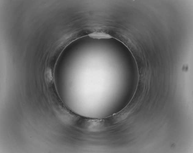 X0000091920089200709121547
